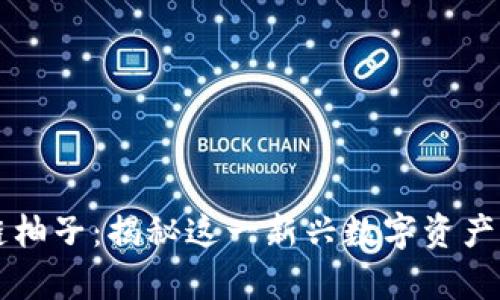 区块链柚子：揭秘这一新兴数字资产的真相