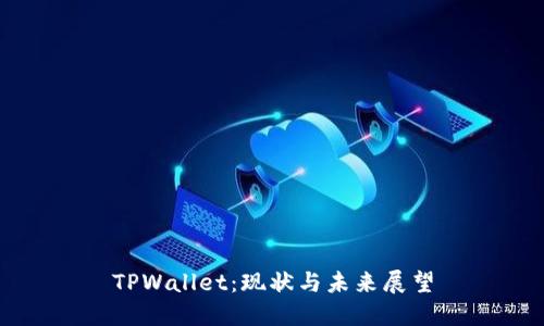 TPWallet：现状与未来展望